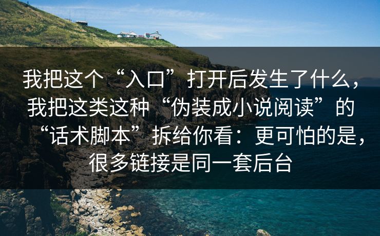 我把这个“入口”打开后发生了什么，我把这类这种“伪装成小说阅读”的“话术脚本”拆给你看：更可怕的是，很多链接是同一套后台
